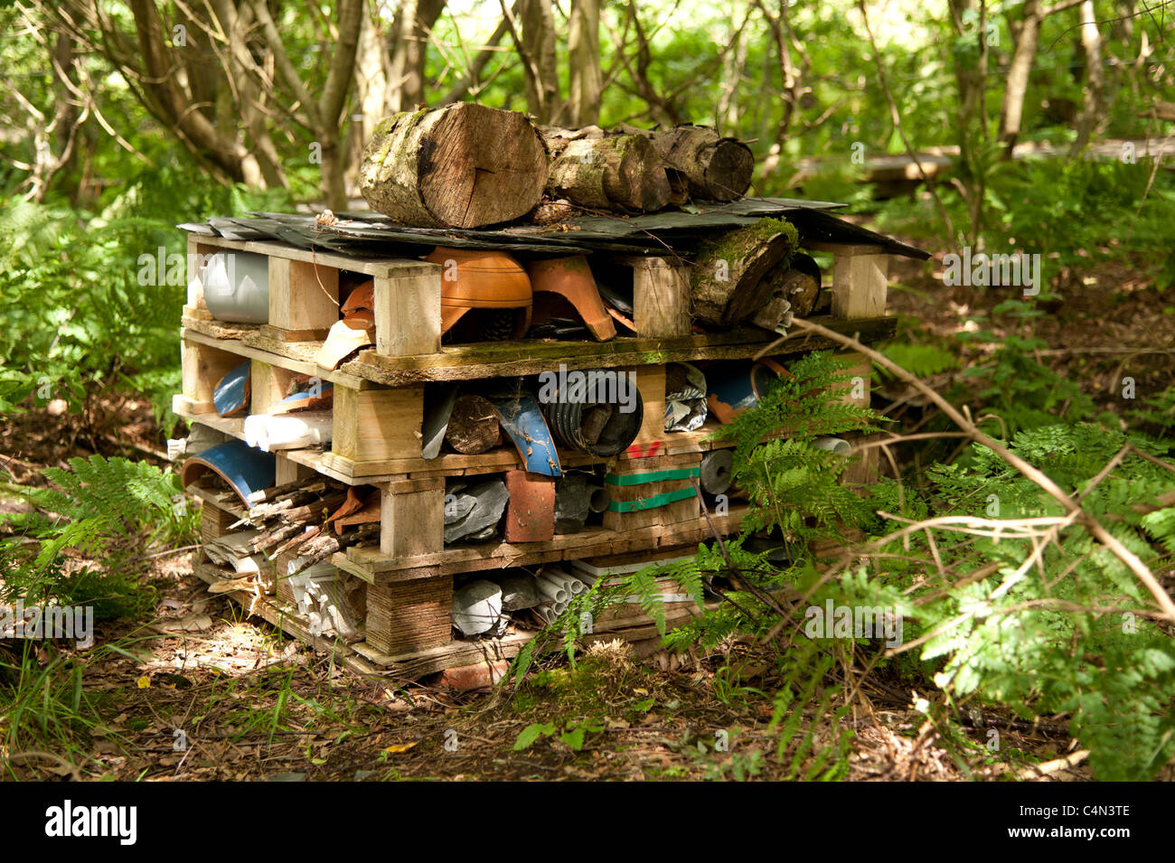 Habitat artificiali per insetti selvatici e le API di Montgomery Wildlife Trust è Cors Dyfi Osprey Progetto, west wales UK Foto Stock