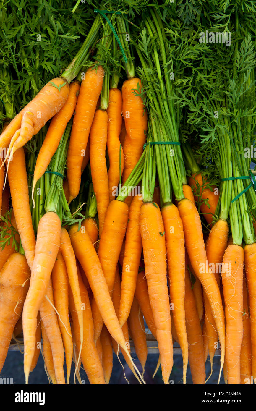 Appena prelevate le carote in vendita al mercato alimentare a La Reole nella regione di Bordeaux in Francia Foto Stock