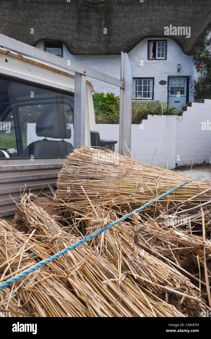 Master thatcher riparazione tetto di paglia del cottage in Coverack, Cornwall (UK) Foto Stock