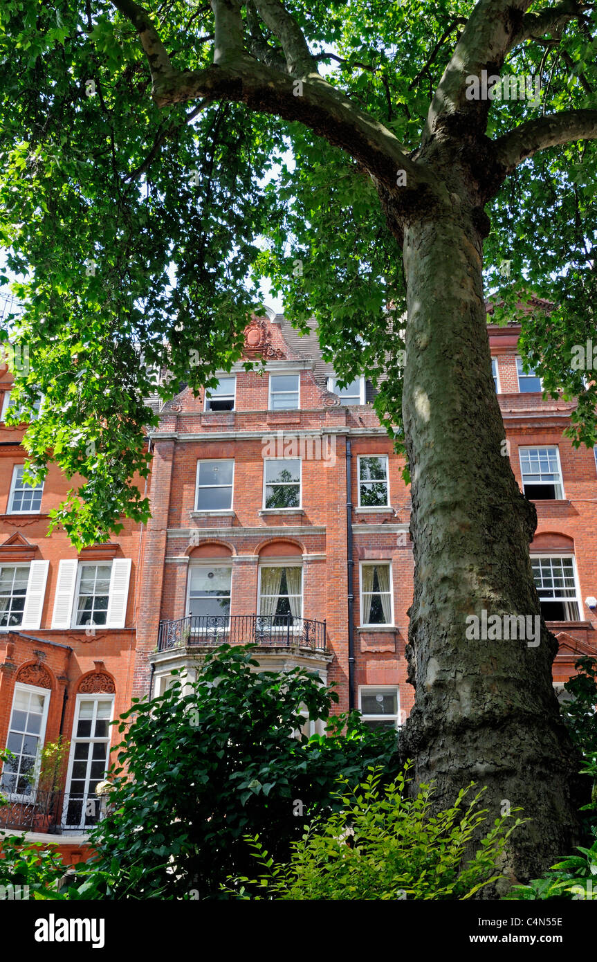 Casa visto dalla piazza di Cadogan Gardens Kensington e Chelsea London SW1 England Regno Unito Foto Stock