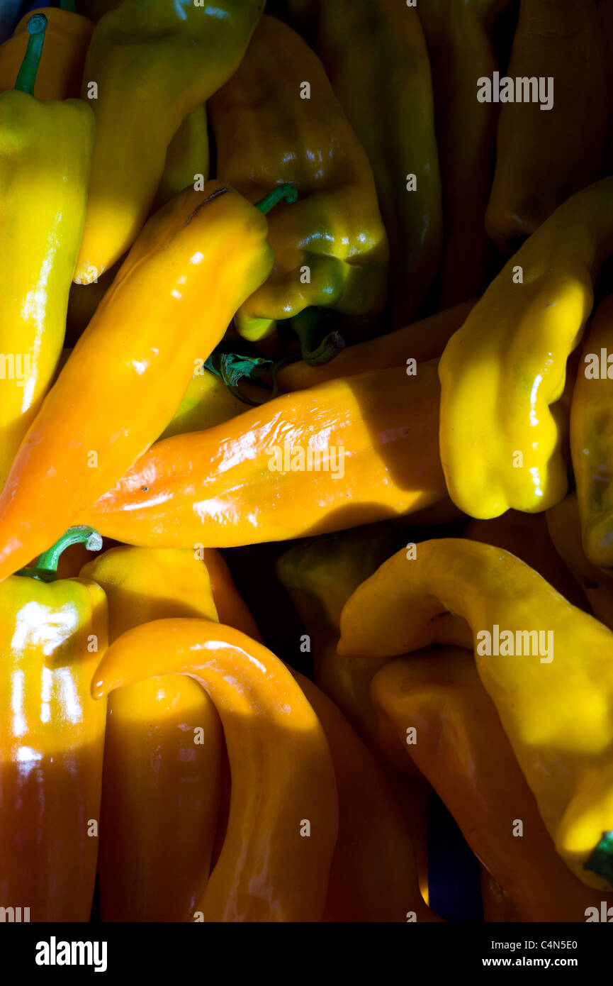 Appena prelevato il peperone giallo, peperoni, in vendita al mercato alimentare a La Reole nella regione di Bordeaux in Francia Foto Stock