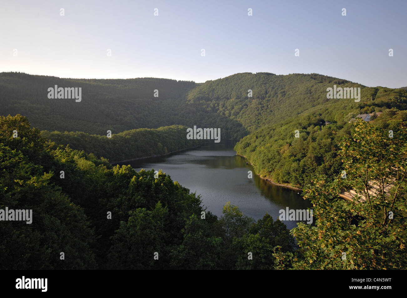 Urftarm des Obersees, Blick von der Urftstaumauer. Foto Stock