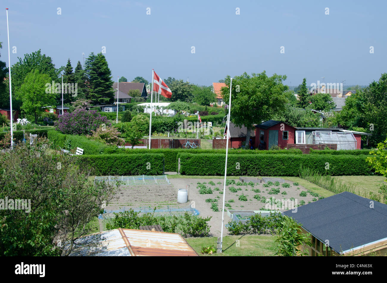 La Danimarca, l'isola di Bornholm, Ronne. Tipici giardini comunitari (aka vittoria giardino). Foto Stock