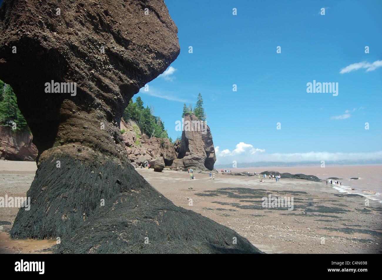 Vista di hopewell rocks, baia di Fundy, Canada Foto Stock