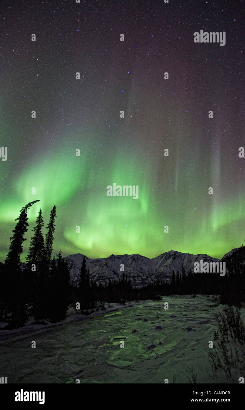 Aurora boreale sopra il fiume di Wheaton, Yukon, Canada Foto Stock