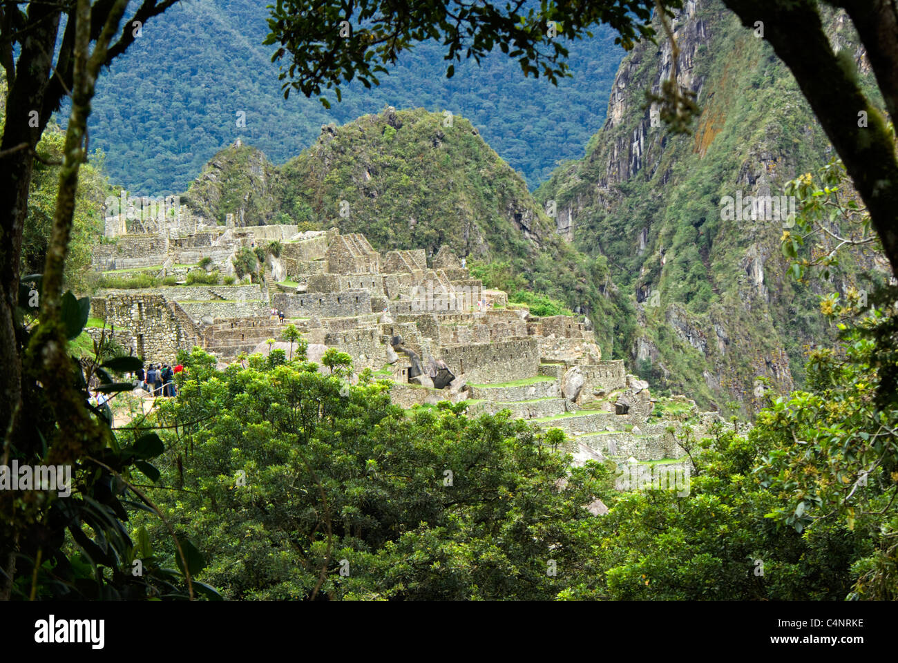 Machu Picchu sito visto attraverso gli alberi, Perù Foto Stock