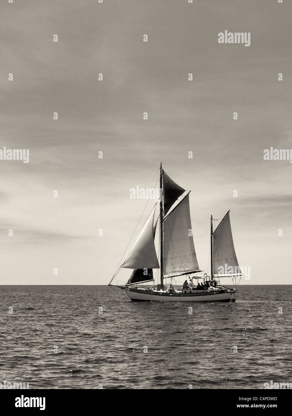 Barca a vela nei pressi di San Giovanni Isole Vergini. Foto Stock