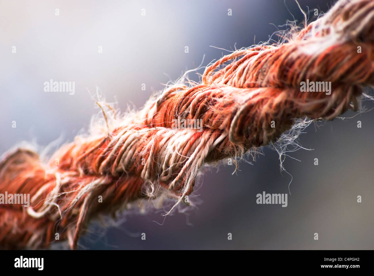 Chiudere l immagine di un usato corda tesa Foto Stock