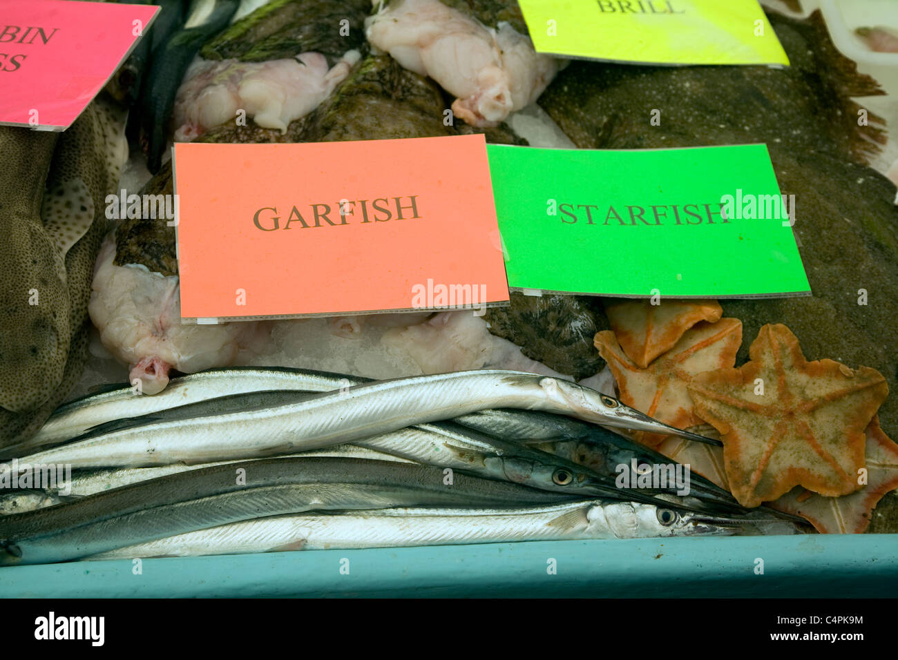 Display pescivendolo di varietà di pesce sulla tavola di ghiaccio Foto Stock