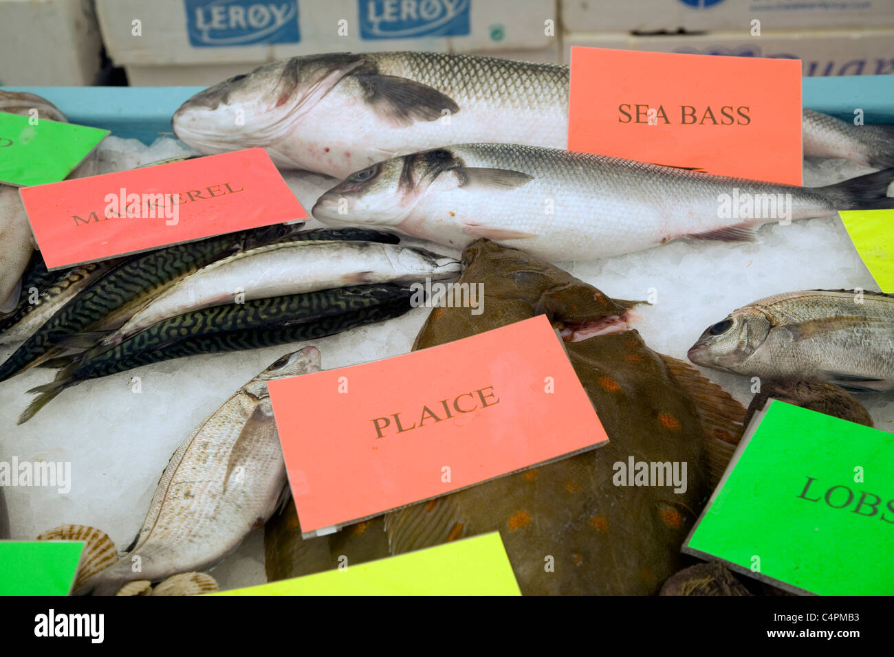 Display pescivendolo di varietà di pesce sulla tavola di ghiaccio Foto Stock