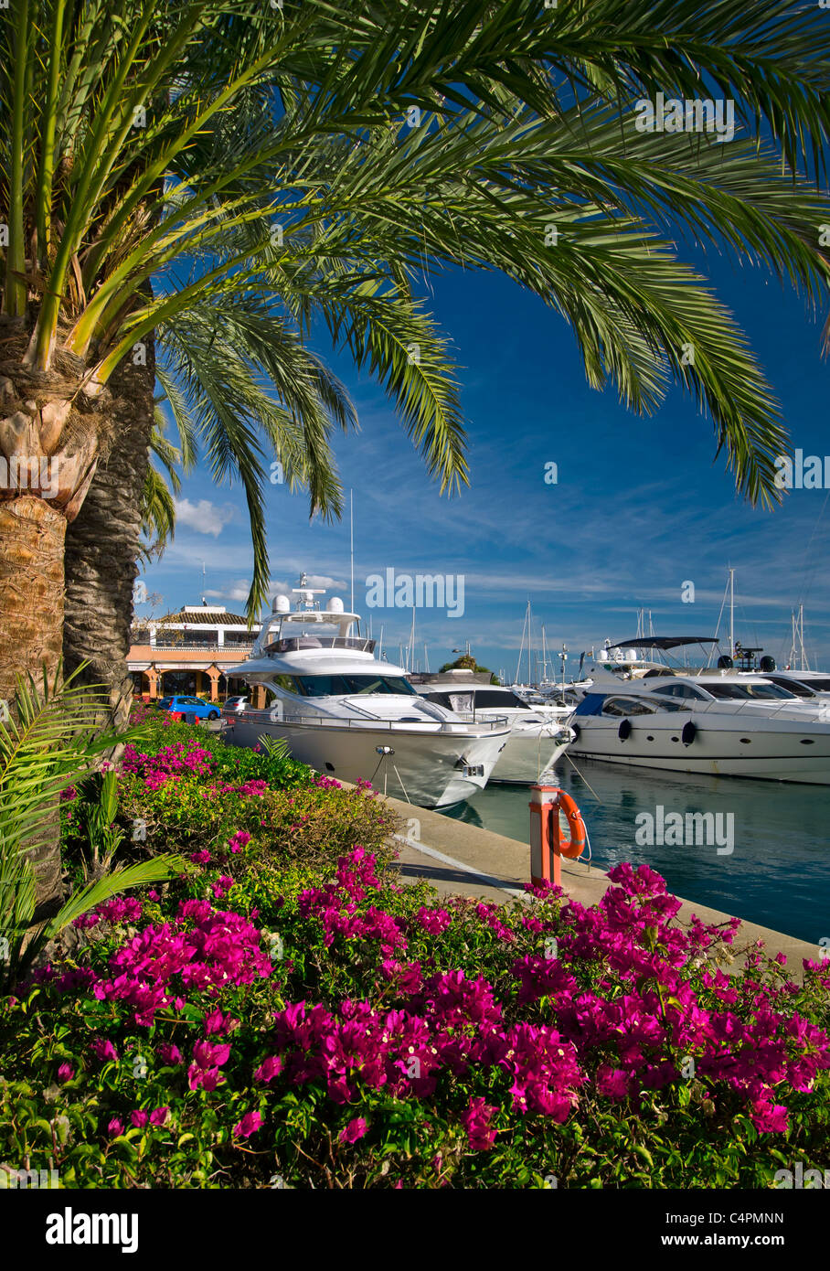 PUERTO PORTALS Yacht di lusso ormeggiati a Puerto Portals Marina Portals Nous Palma di Maiorca Isole Baleari Spagna Foto Stock