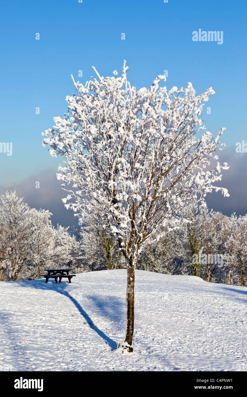 Una panchina nel parco in una bella giornata di inverni a Greenock Foto Stock