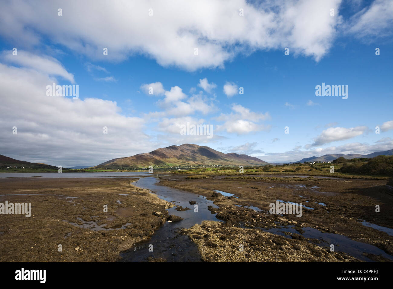 Vista verso la penisola di Dingle a Cahersiveen, Ring of Kerry, Co. Kerry, Repubblica di Irlanda (Eire) Foto Stock