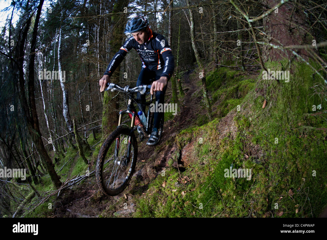 Irish mountain bike champion Robin Seymour cavalca un sentiero attraverso la foresta, County Wicklow, Repubblica di Irlanda Foto Stock