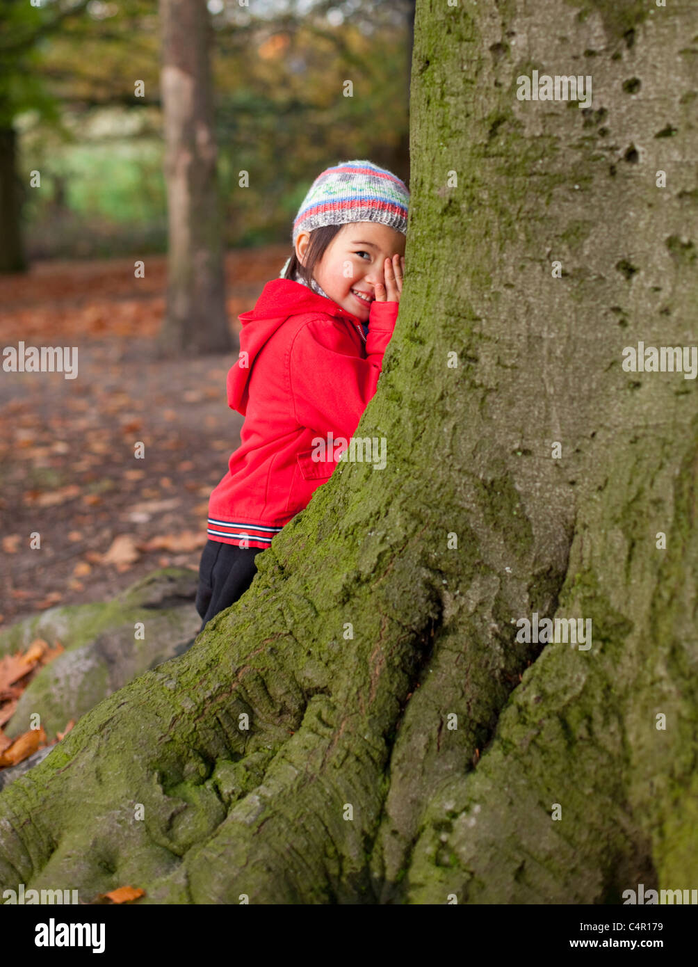 Bambina di giocare a nascondino dietro a un albero Foto Stock