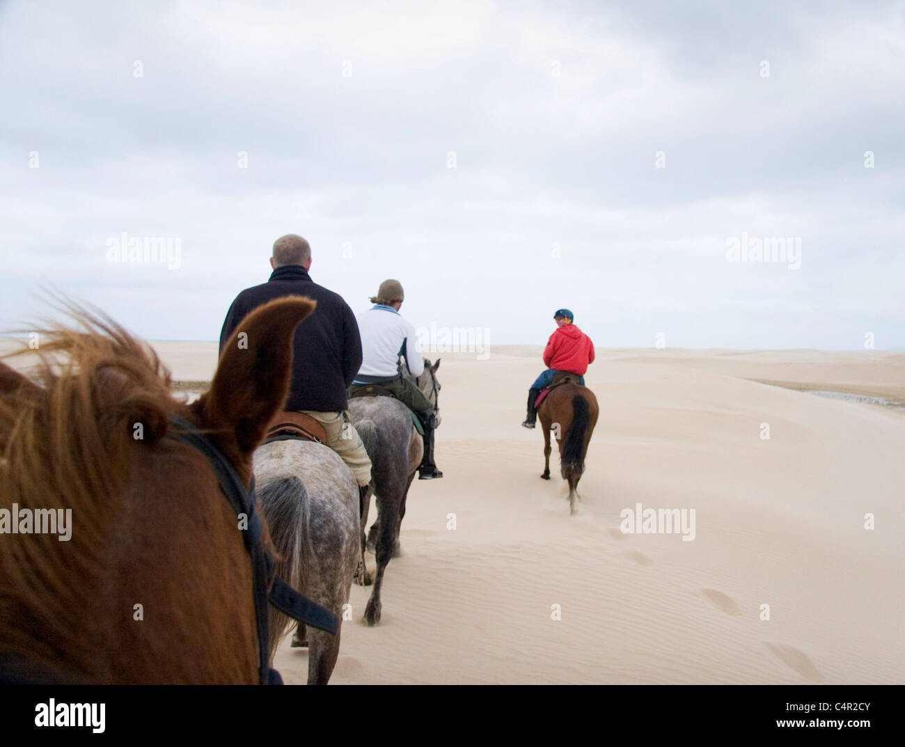 Passeggiate a cavallo lungo spiagge appartate e dune di sabbia, Jeffreys Bay, Sud Africa Foto Stock