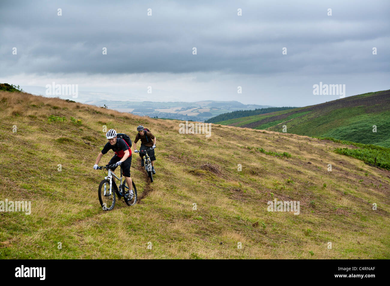 Coppia di mountain bike cavalcare un sentiero erboso in colline di Quantock, Regno Unito Foto Stock