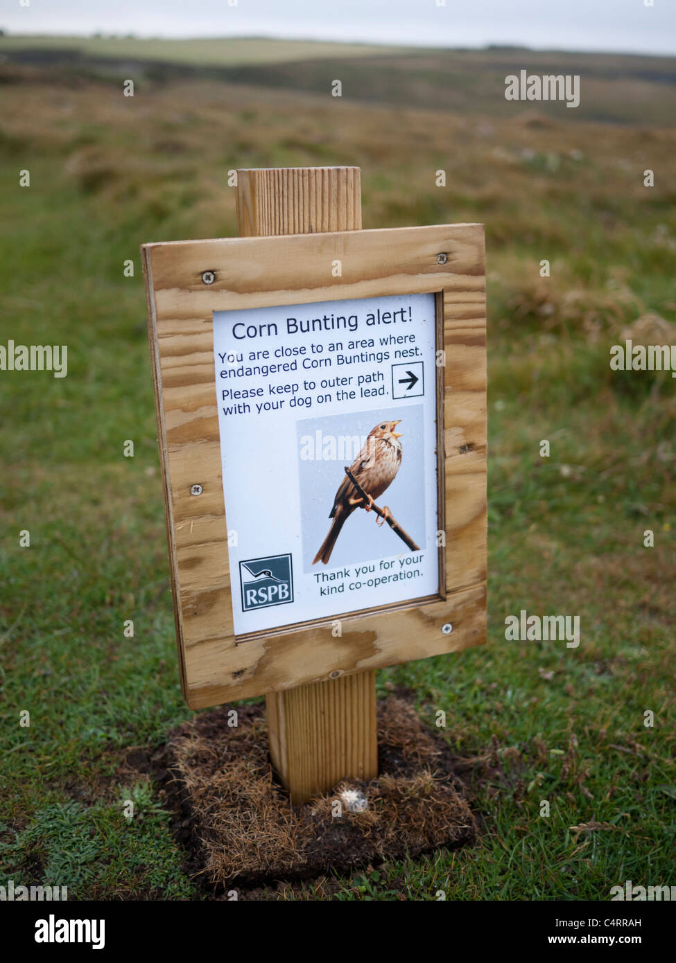 Corn Bunting simbolo di avvertimento. RSPB segno avvertenza walkers lontano dai siti di nidificazione in North Cornwall Foto Stock