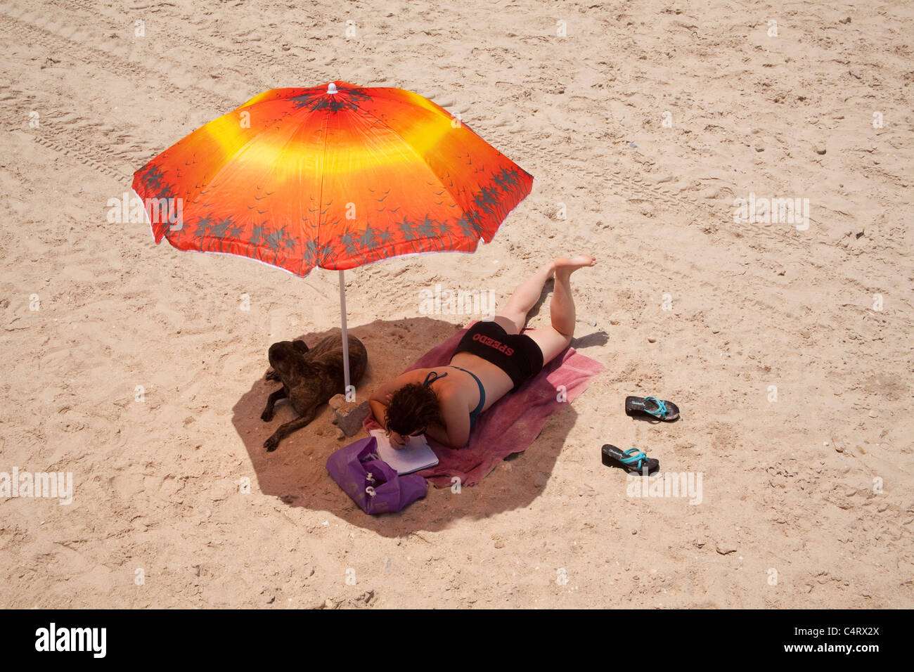 Giovane donna che lavorano su Tel Aviv spiaggia sotto ombrellone Foto Stock
