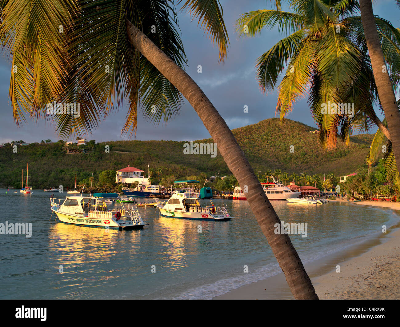 Cruz Bay Harbor con palme. San Giovanni, Isole Vergini. Foto Stock
