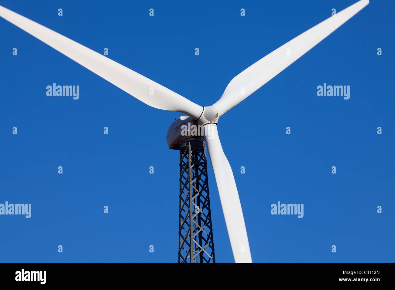 Turbina eolica per la produzione di energie alternative Foto Stock