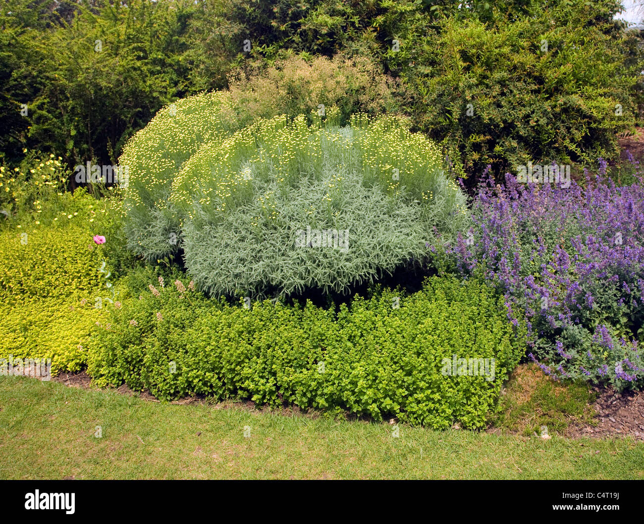 Il Beth Chatto e il giardino vivaio, Elmstead Market, Essex, Inghilterra Foto Stock