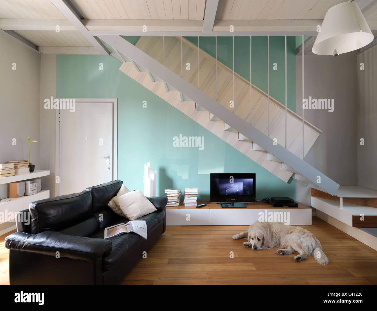 Ingresso del piccolo e moderno appartamento con una scala in ferro, divano in pelle nera e cane bianco mentre stanno dormendo Foto Stock