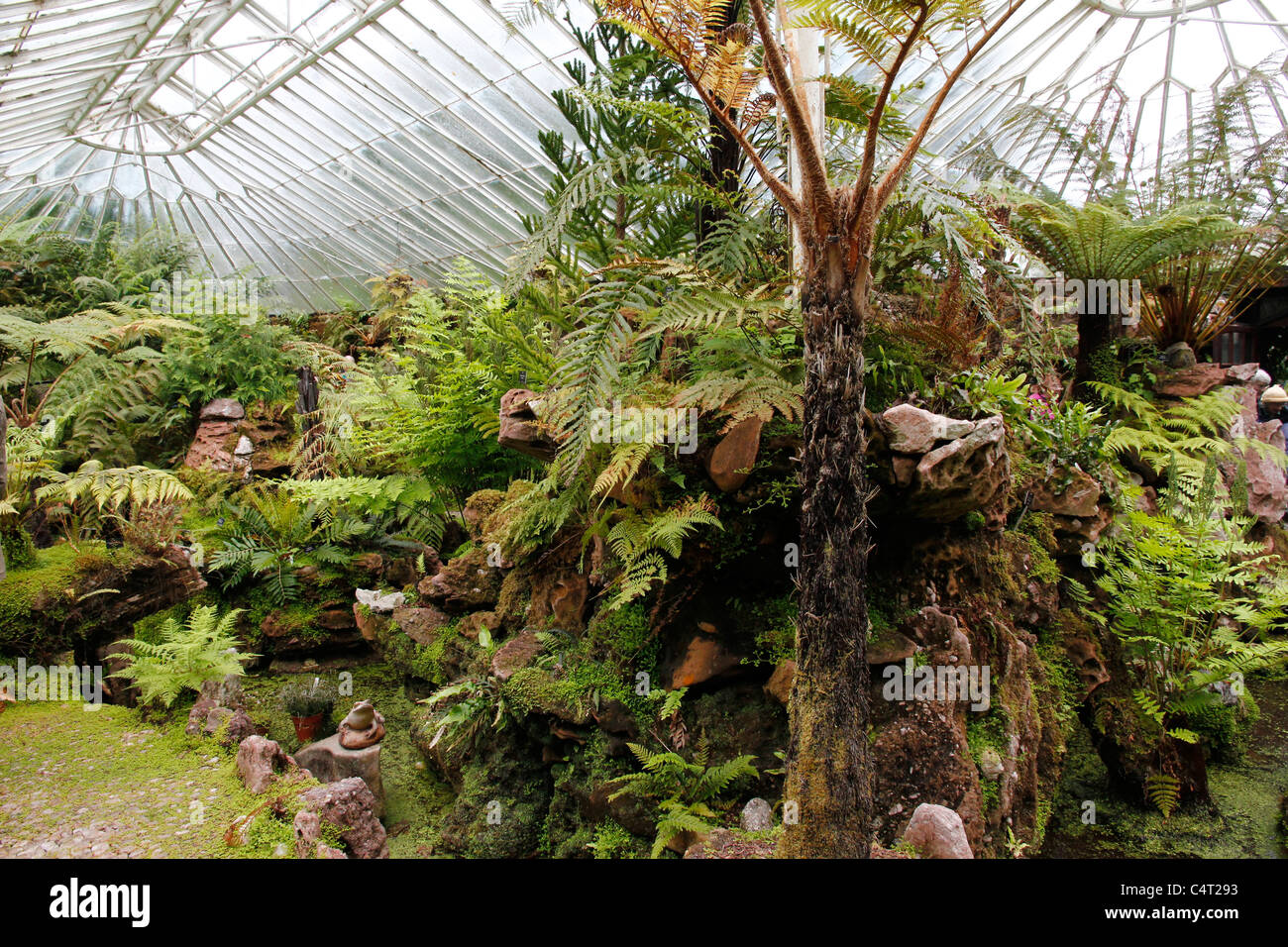 Ascog Hall Gardens & Fernery, Isle of Bute Foto Stock