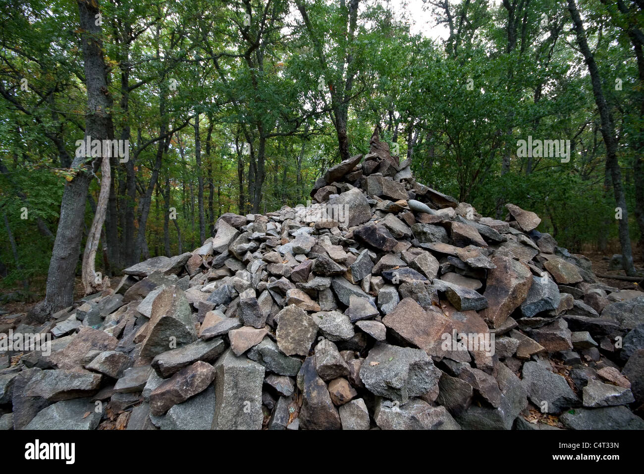 Il punto superiore della montagna Ayu-Dag (Au-Dag, Ayudag, Audag). Crimea montagne. L'Ucraina. Foto Stock