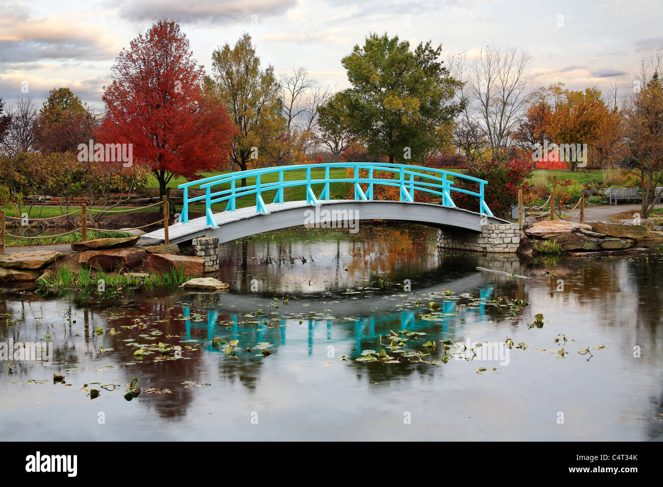 Una scena pastorale di un piede giapponese ponte su un tranquillo laghetto in un giorno di pioggia in autunno, Southwestern Ohio, Stati Uniti d'America Foto Stock