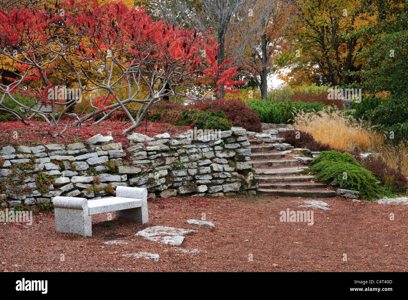 Un luogo di riposo in giardino durante l'Autunno nel parco, Southwestern Ohio, Stati Uniti d'America Foto Stock