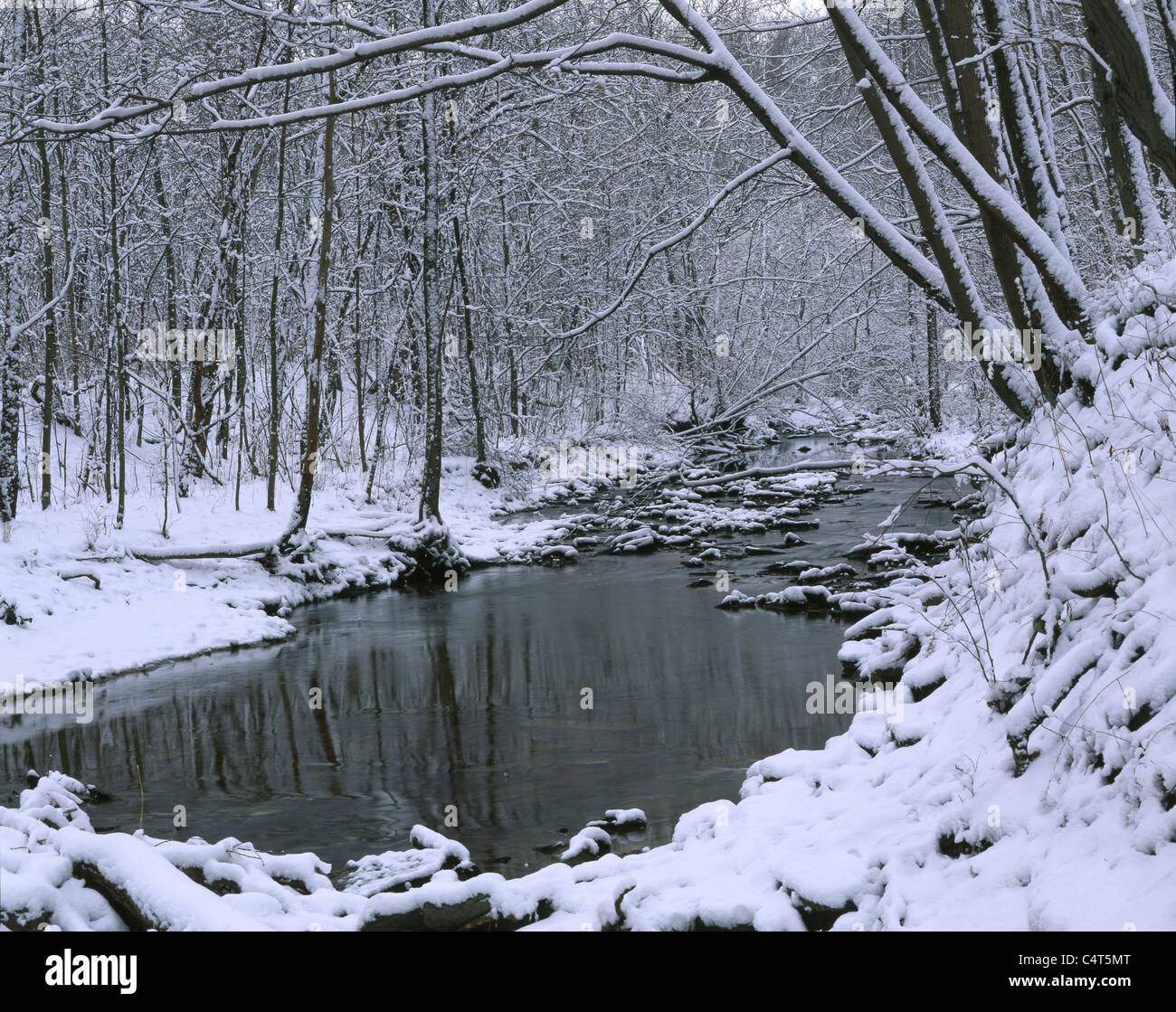 La neve che ricopre la foresta circostante una piccola insenatura in inverno, Keehner Park, Southwestern Ohio, Stati Uniti d'America Foto Stock