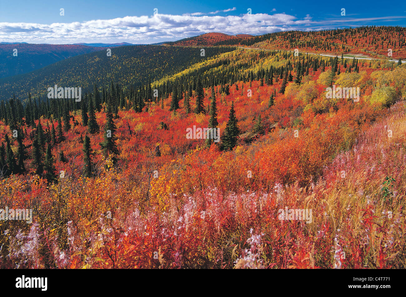 Parte superiore del mondo in autostrada in i colori dell'autunno Foto Stock