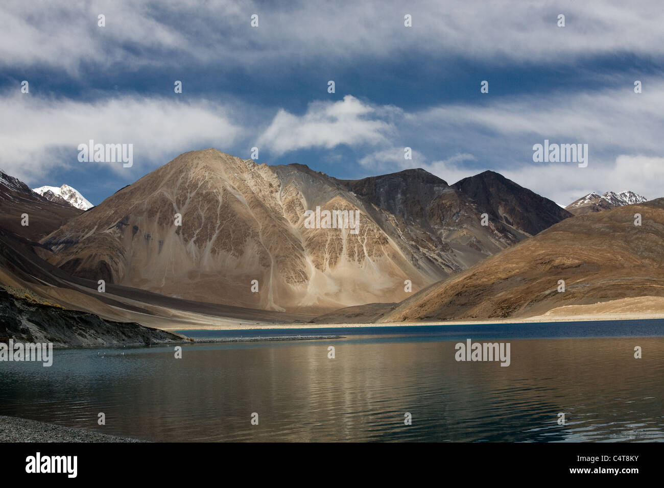 Pangong Tso Lake, Ladakh regione dello stato di Jammu e Kashmir India (Maggio 2011) Foto Stock
