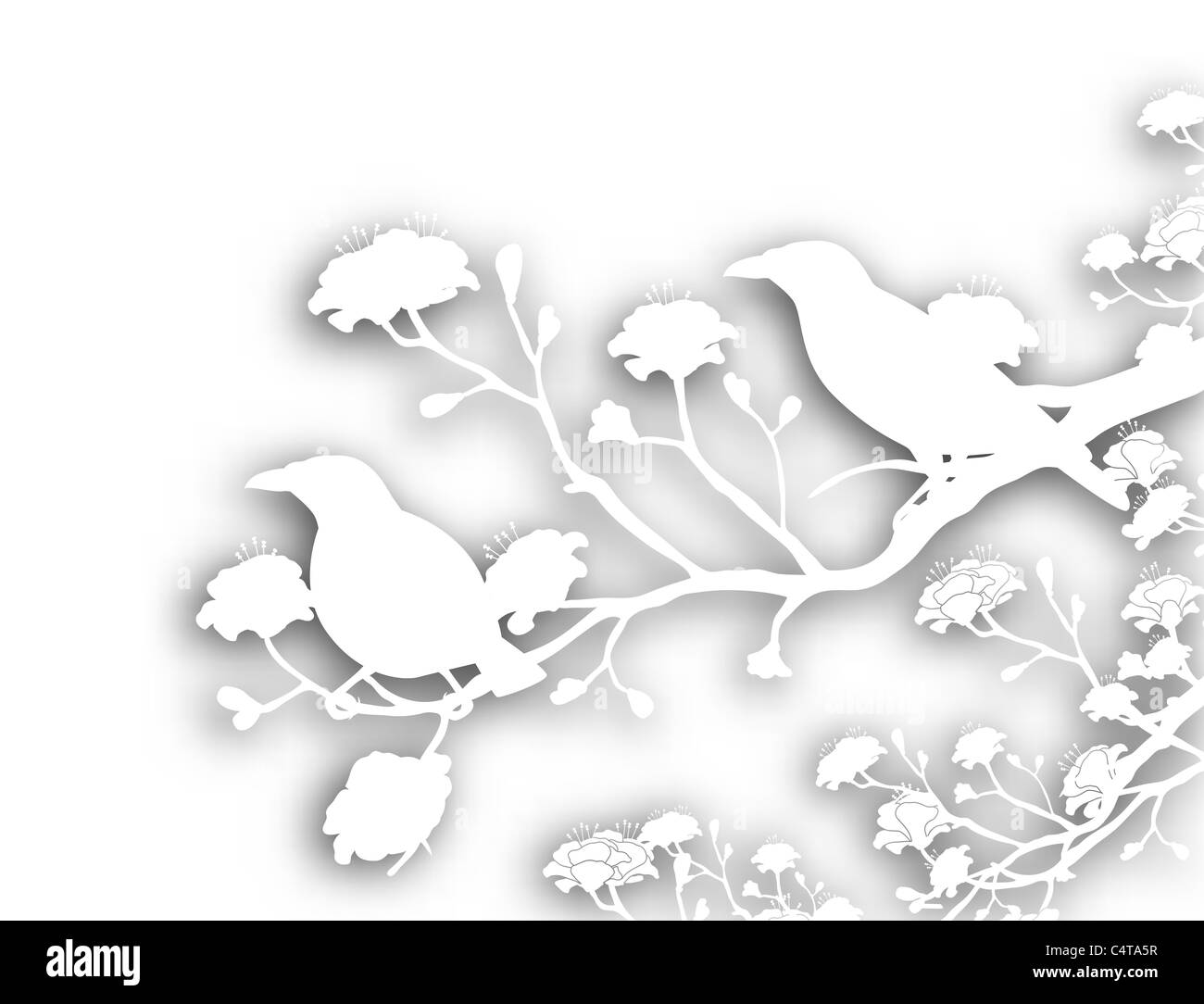Illustrazione di esclusione di una coppia di myna selvatici Volatili con ombreggiatura di sfondo Foto Stock