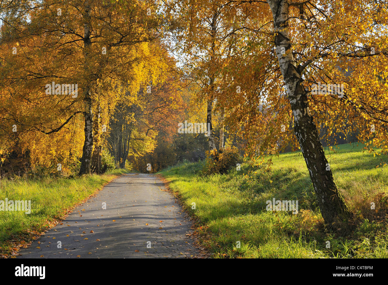 Strada di campagna, Lindenfels, Bergstrasse distretto, Odenwald, Hesse, Germania Foto Stock