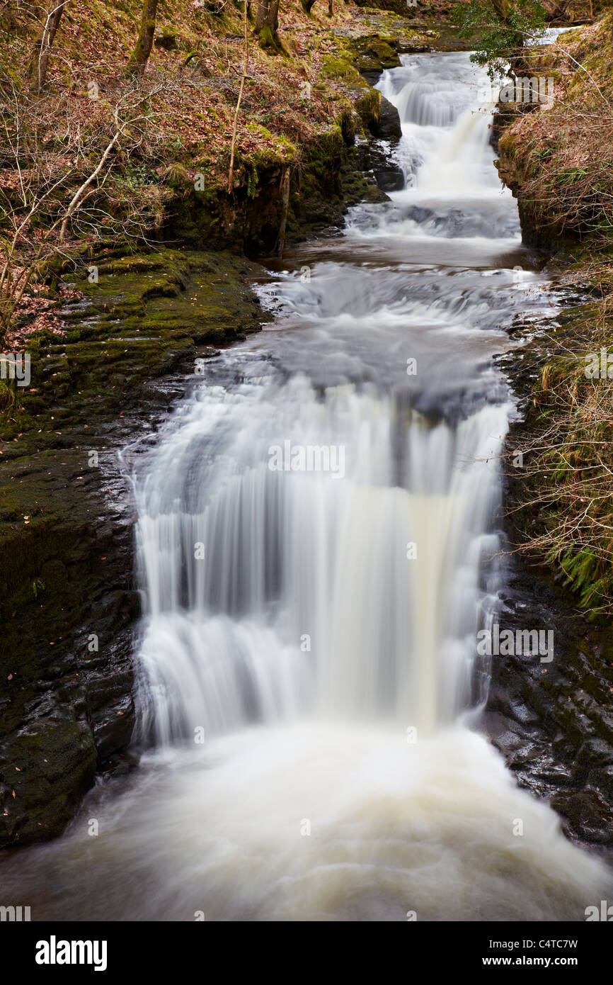 Abbassare Cilhepste Cade vicino a Sgwd Eira, Parco Nazionale di Brecon Beacons, Galles Foto Stock