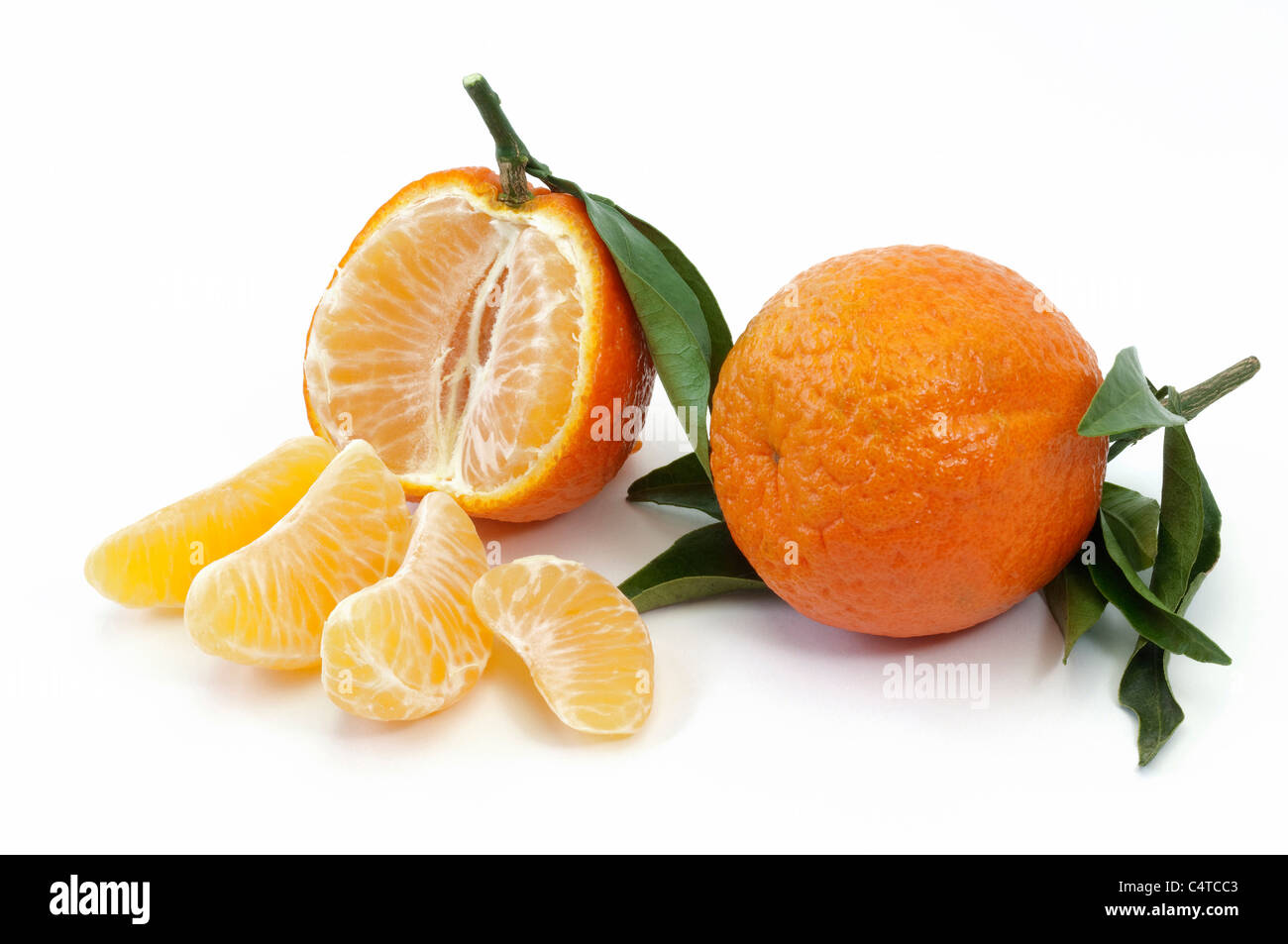 Clementina (Citrus deliciosa), frutti maturi, studio immagine. Foto Stock