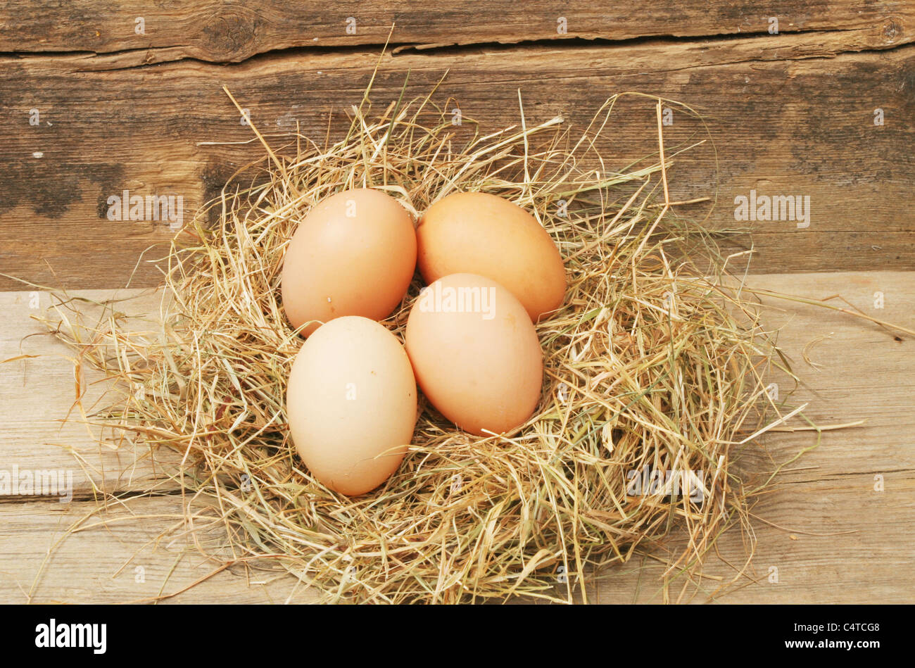 Uova di galline in un nido di fieno in legno rustico Foto Stock