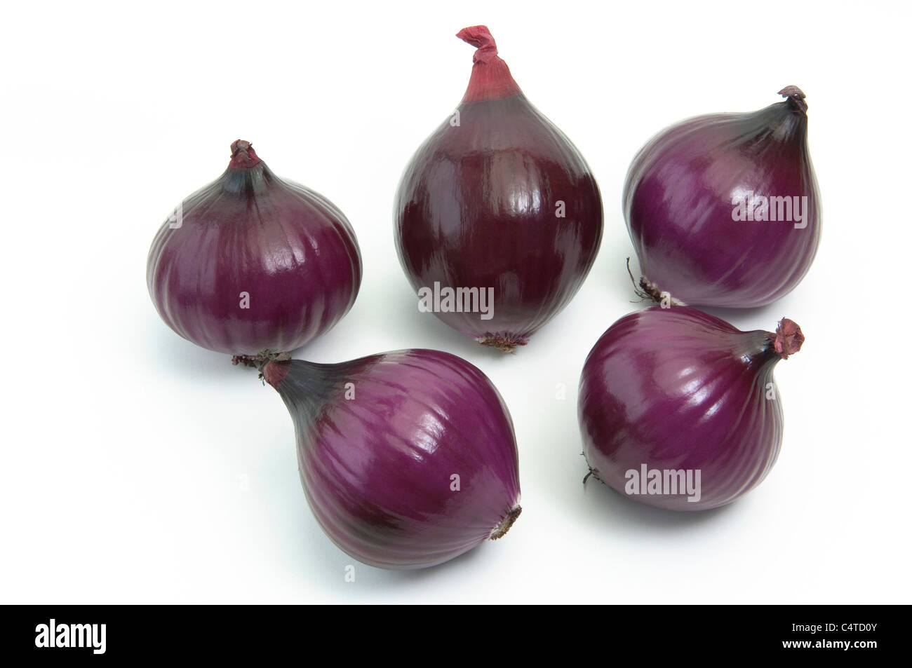 Giardino Cipolla (Allium cepa). 5 cipolle rosse. Studio Immagine contro uno sfondo bianco. Foto Stock