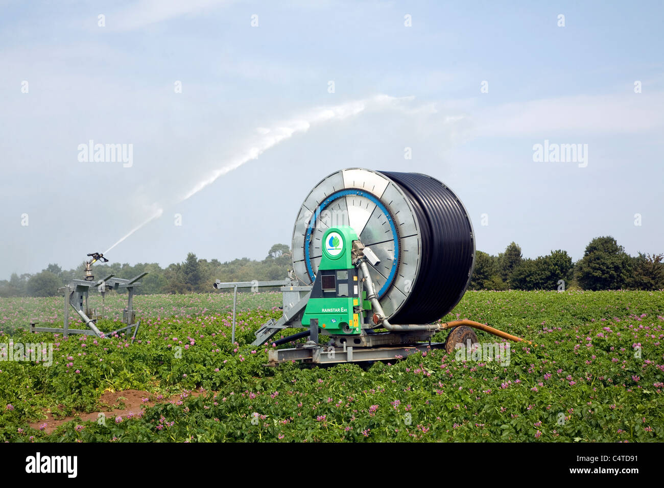Acqua di irrorazione di irrigazione irrigazione campo di patate, Sutton, Suffolk, Inghilterra Foto Stock