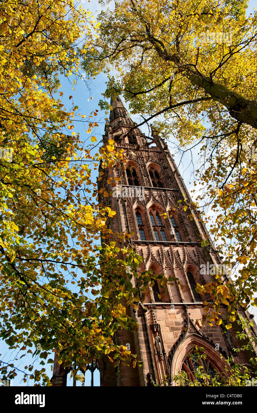 Torre e guglia di Coventry Vecchia Cattedrale incorniciata dagli alberi in autunno. REGNO UNITO. Foto Stock