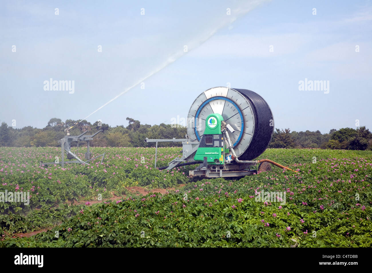 Acqua di irrorazione di irrigazione irrigazione campo di patate, Sutton, Suffolk, Inghilterra Foto Stock