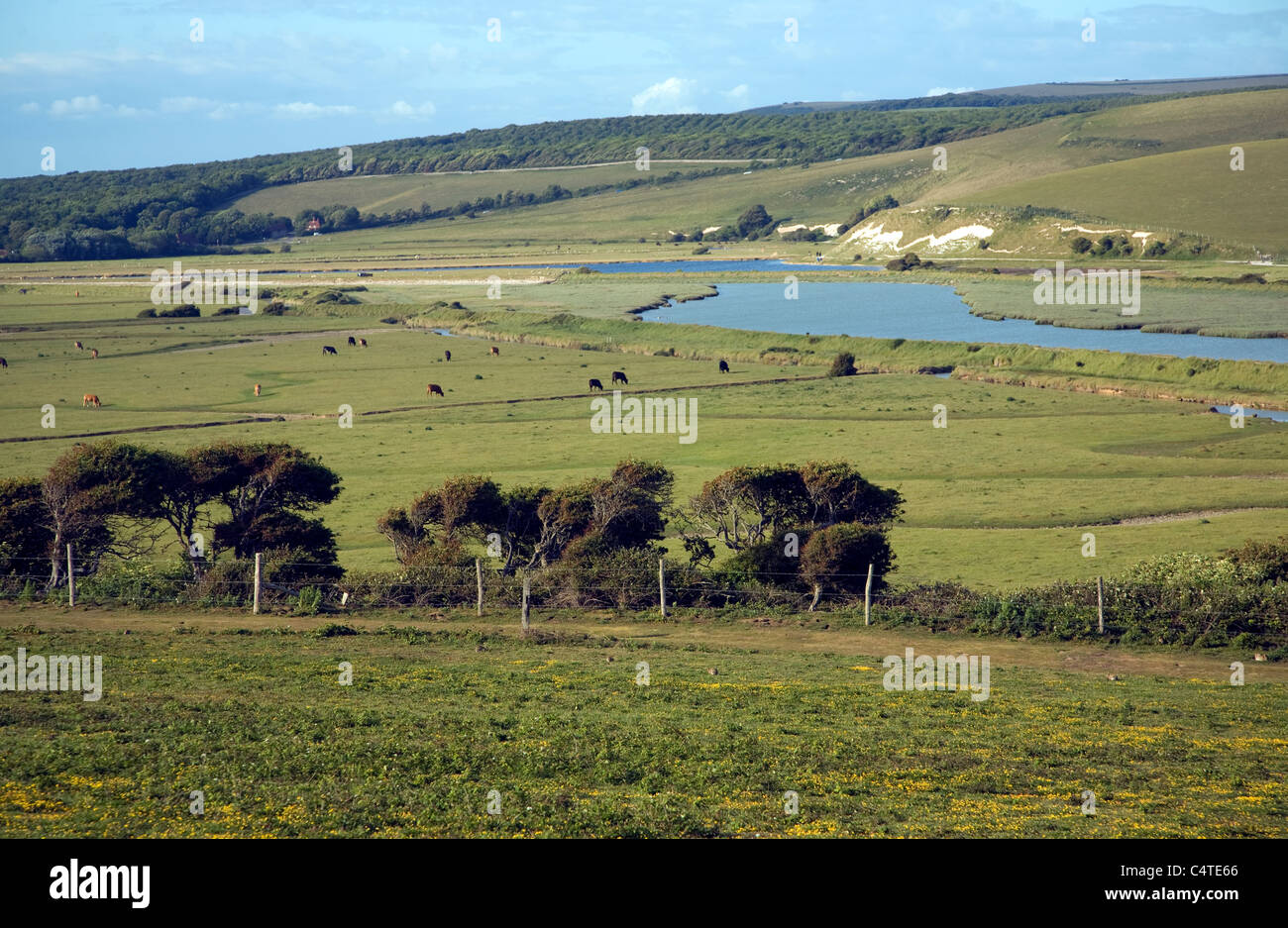 Vista nord est oltre il Fiume Cuckmere valley da Seaford Testa, East Sussex, Inghilterra Foto Stock