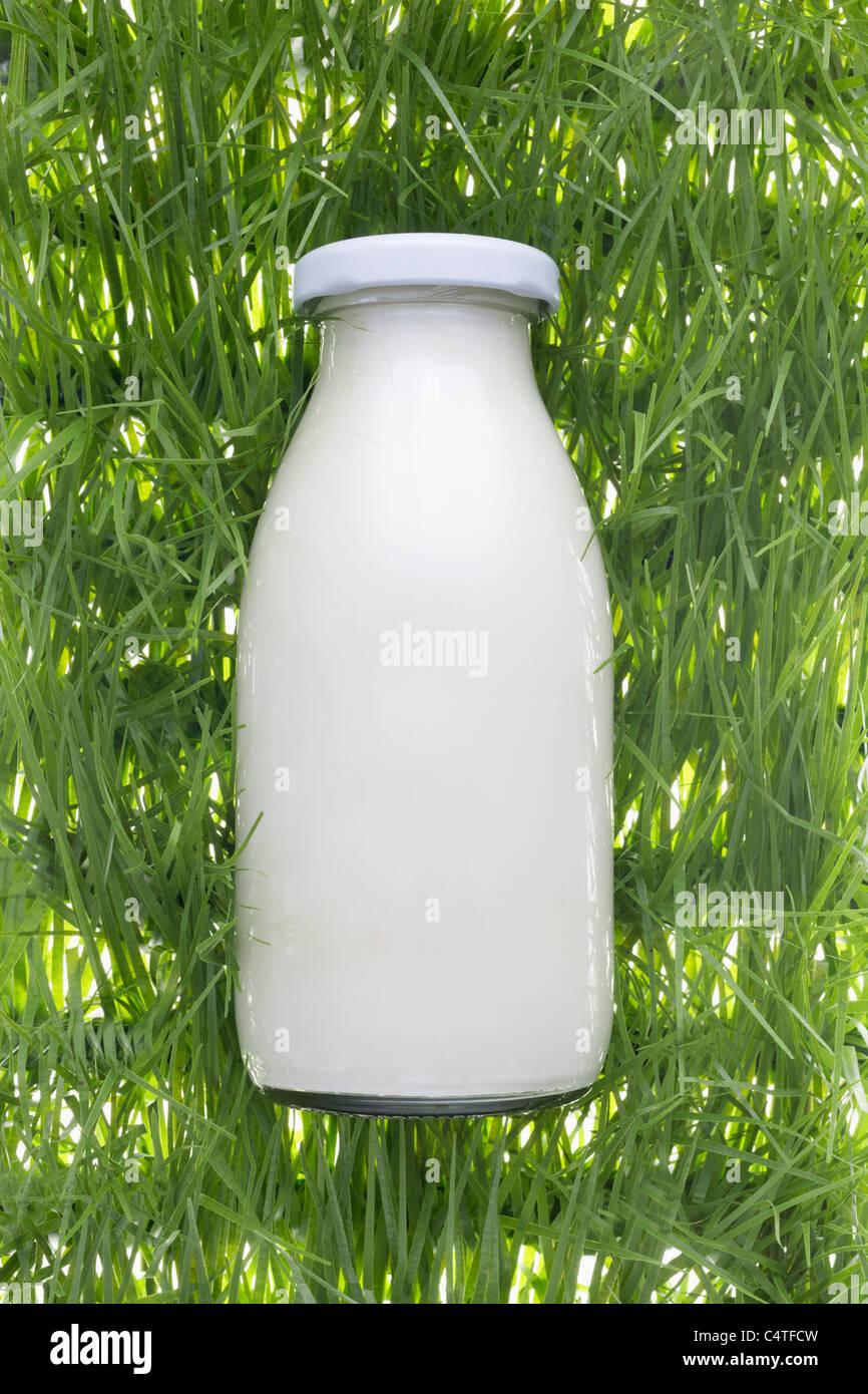 Bottiglia di latte su erba artificiale Foto Stock