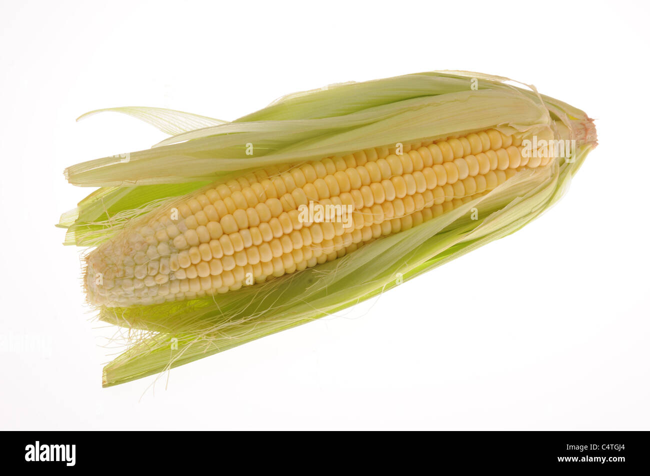 Il mais dal campo Foto Stock