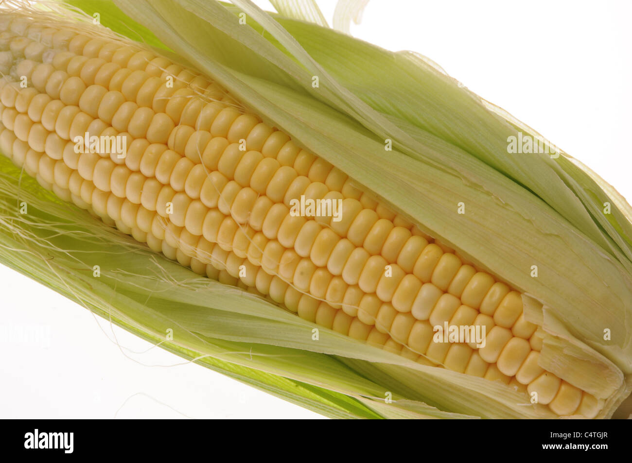 Il mais dal campo Foto Stock