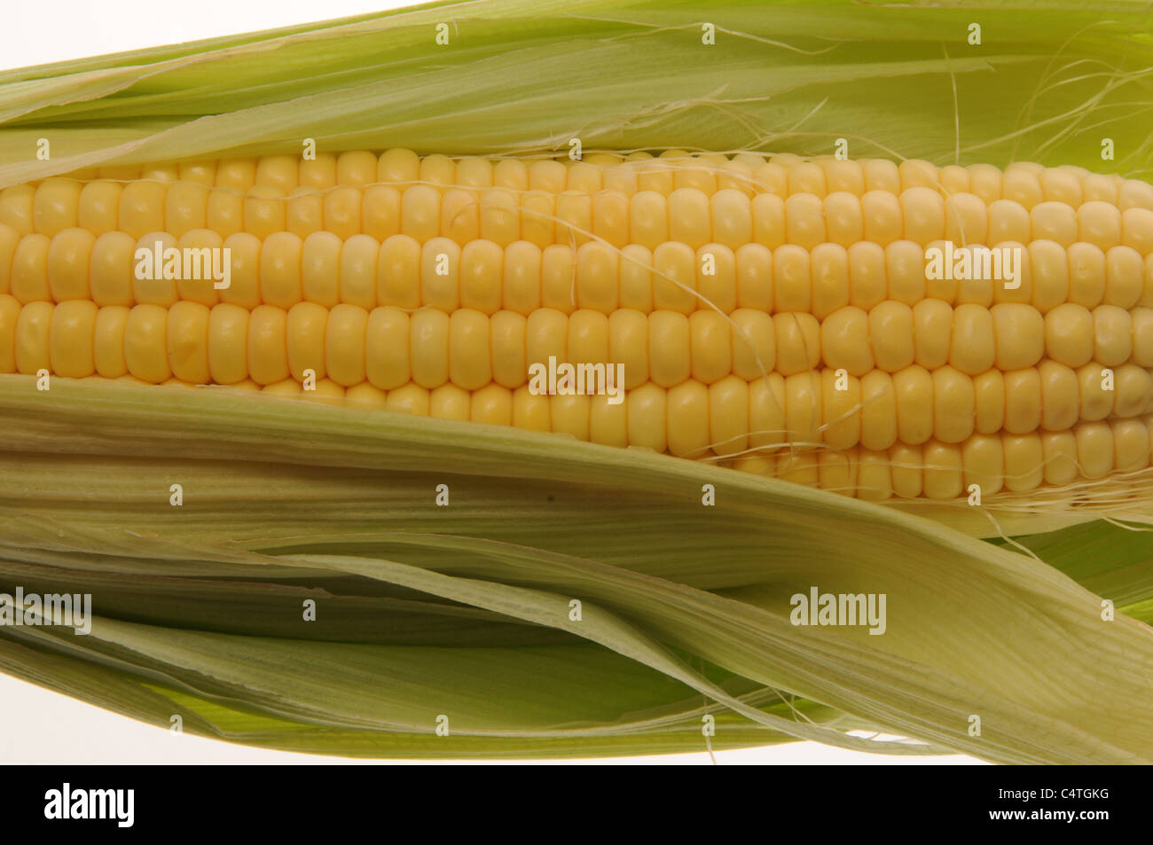 Il mais dal campo Foto Stock