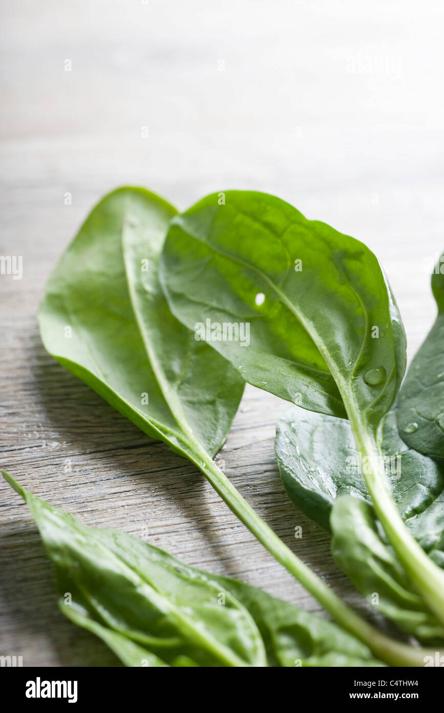 Spinaci freschi Foto Stock