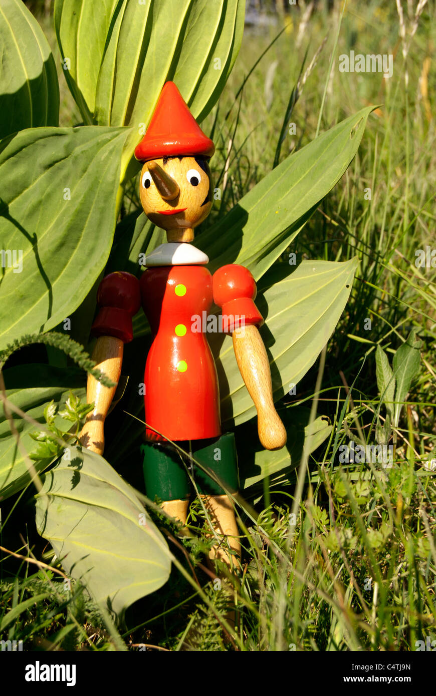 Pinocchio famous italian wooden puppet immagini e fotografie stock ad alta  risoluzione - Alamy